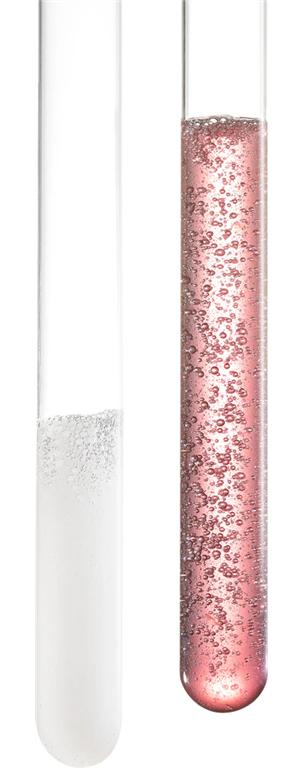 Premiere Masque Filler Réparateur